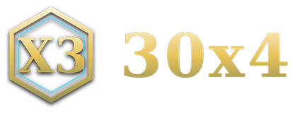 30x4 logo