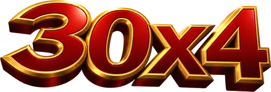 30x4 Logo